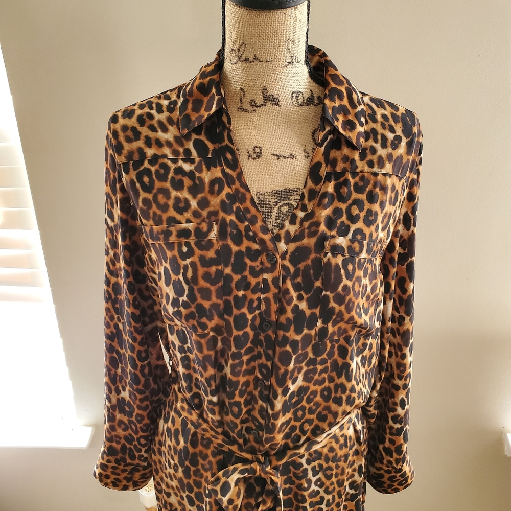 Express Shirt Dress